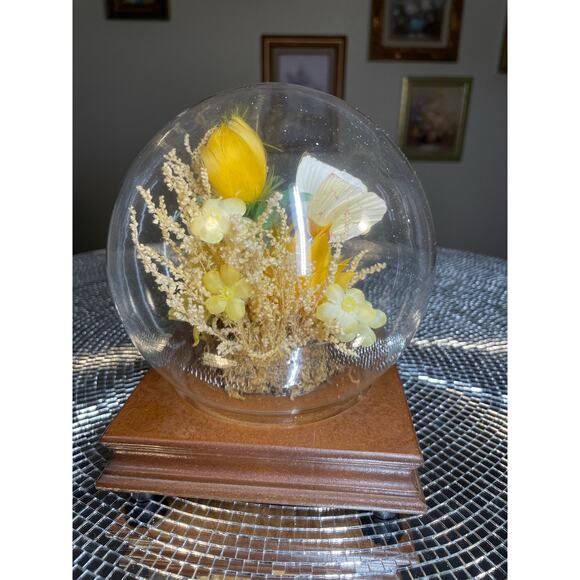 vintage taxidermy butterfly in globe yellow MCM - Picture 4 of 14